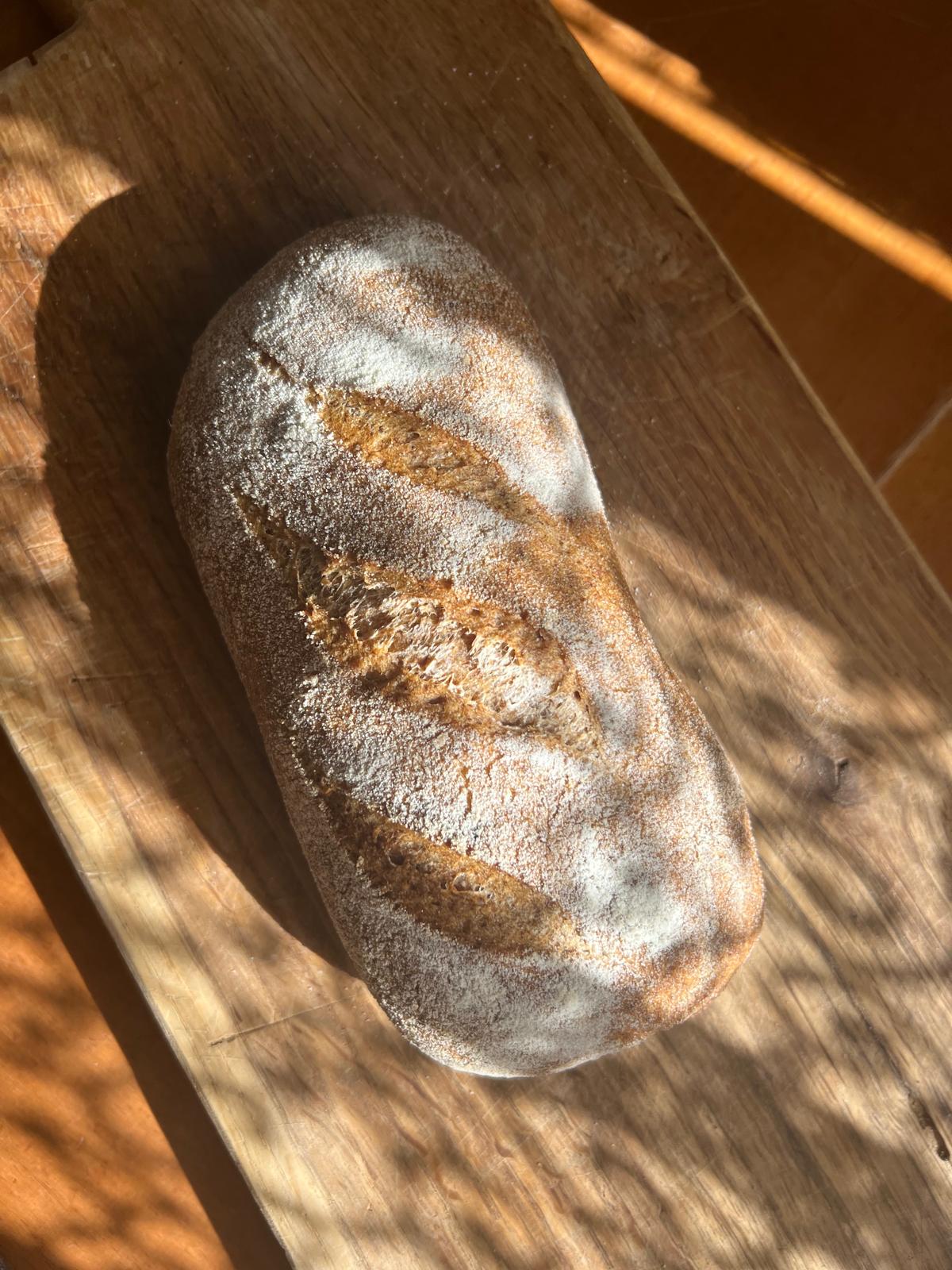 pane senza glutine